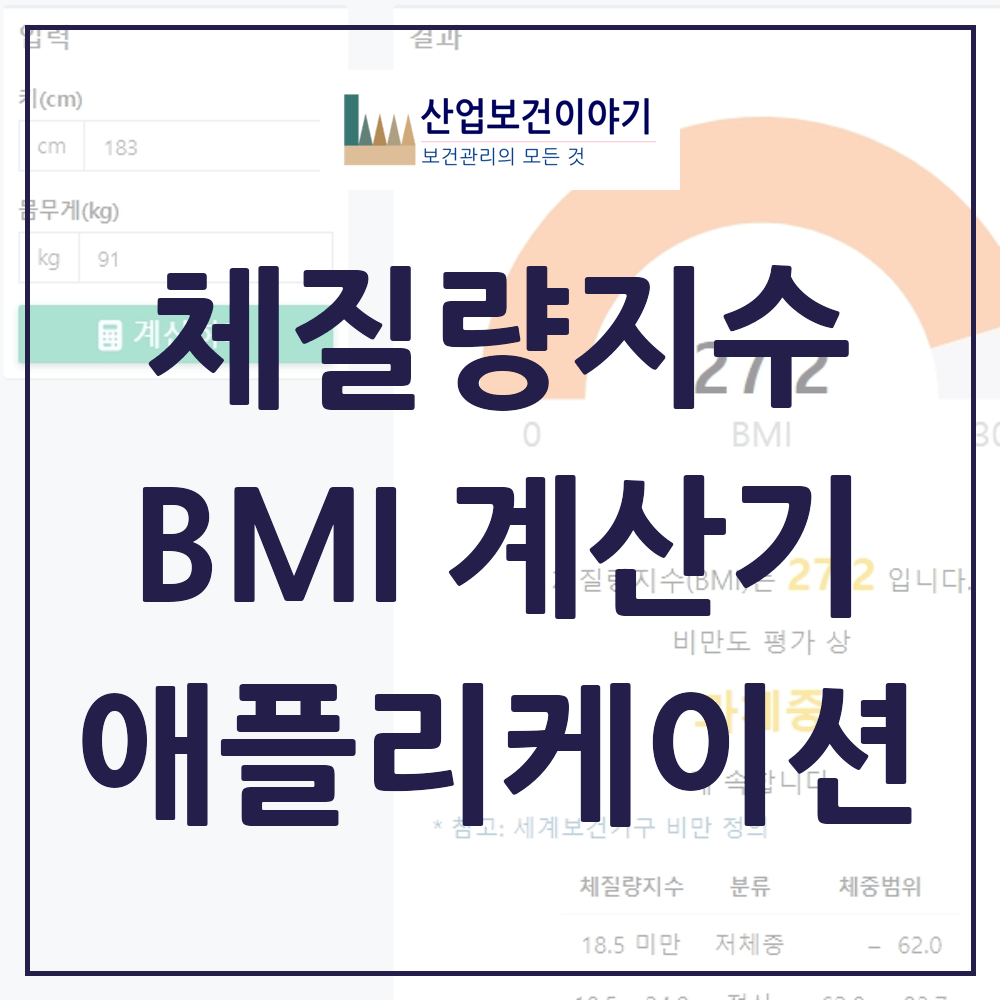체질량지수(BMI) 계산기 및 비만도 판정